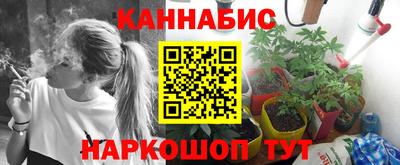 гашик Донской
