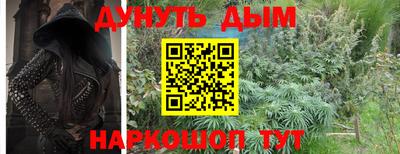 гашик Донской