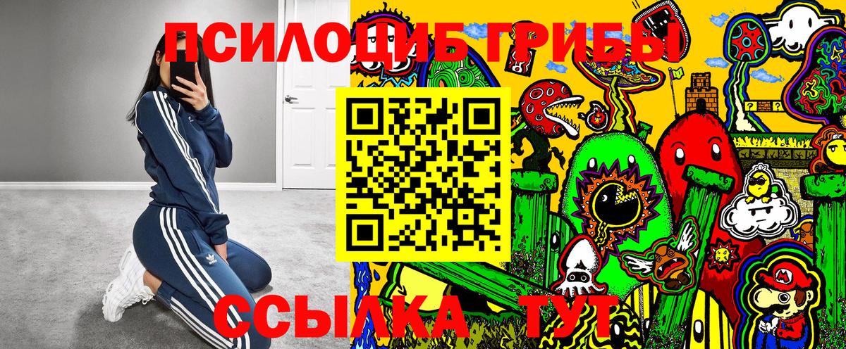 Галлюциногенные грибы мицелий Мценск